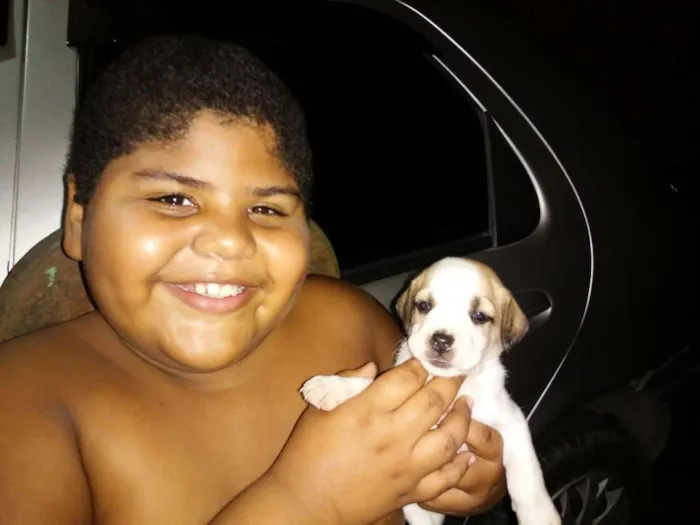 Cachorro raça Não definida idade Abaixo de 2 meses nome Varios