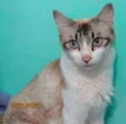Doly