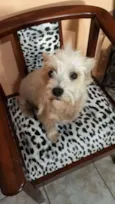 Peteka 