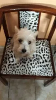 Peteka 