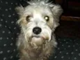 Peteka 