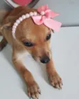 PRINCESA
