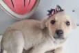PAQUITA