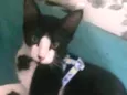 Não definido