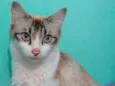 Doly