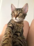 Nina