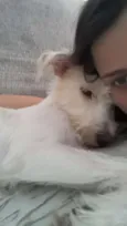 Anita