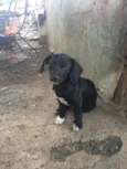 nao tem