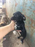 nao tem