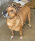 Linda