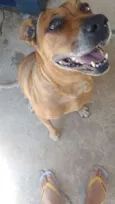 Linda
