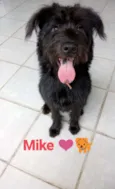 Mike