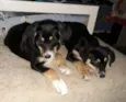 Rafael&Rafaela