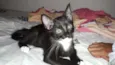 Bolinha