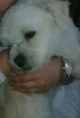 Princesa