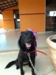NITO e NITA