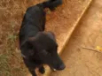 NITO e NITA