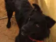 NITO e NITA