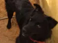 NITO e NITA