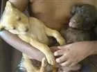 Cachorro raça Vira lata idade Abaixo de 2 meses nome Kate e negão