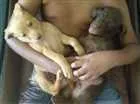Cachorro raça Vira lata idade Abaixo de 2 meses nome Kate