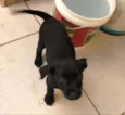 Nina 