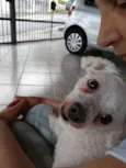 Penélope (Pepê)