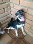 Belinha