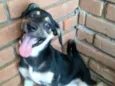 Belinha
