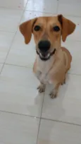 Nala