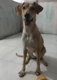 Nala