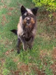 Dora