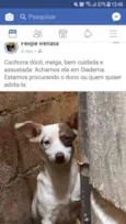 Sem nome