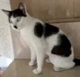 Marie