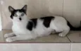 Marie