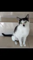 Marie