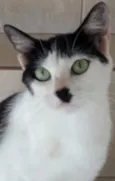 Marie