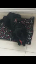 Paçoca