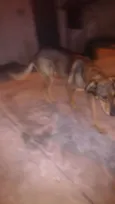 Princesa