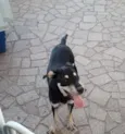 Spike