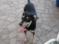 Spike
