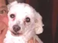 Penélope (Pepê)