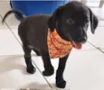 BERNARDO