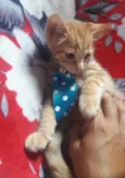 Nino, Sissi e Mimi