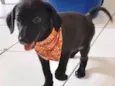 BERNARDO