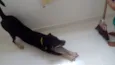 Spyck