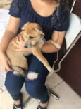 Mel 