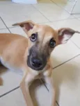 Athena