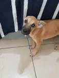 Athena