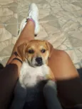 Frida e Capitu